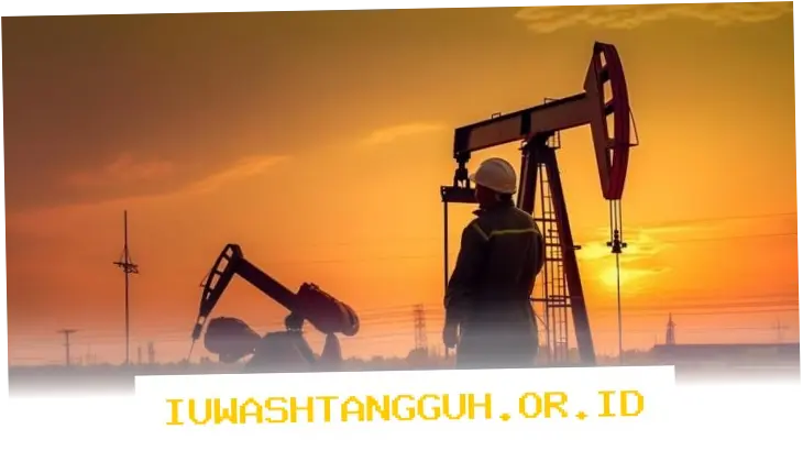 Gaji PNS: Dampak Keluarnya UEA dari OPEC hingga Kenaikan Gaji 2026