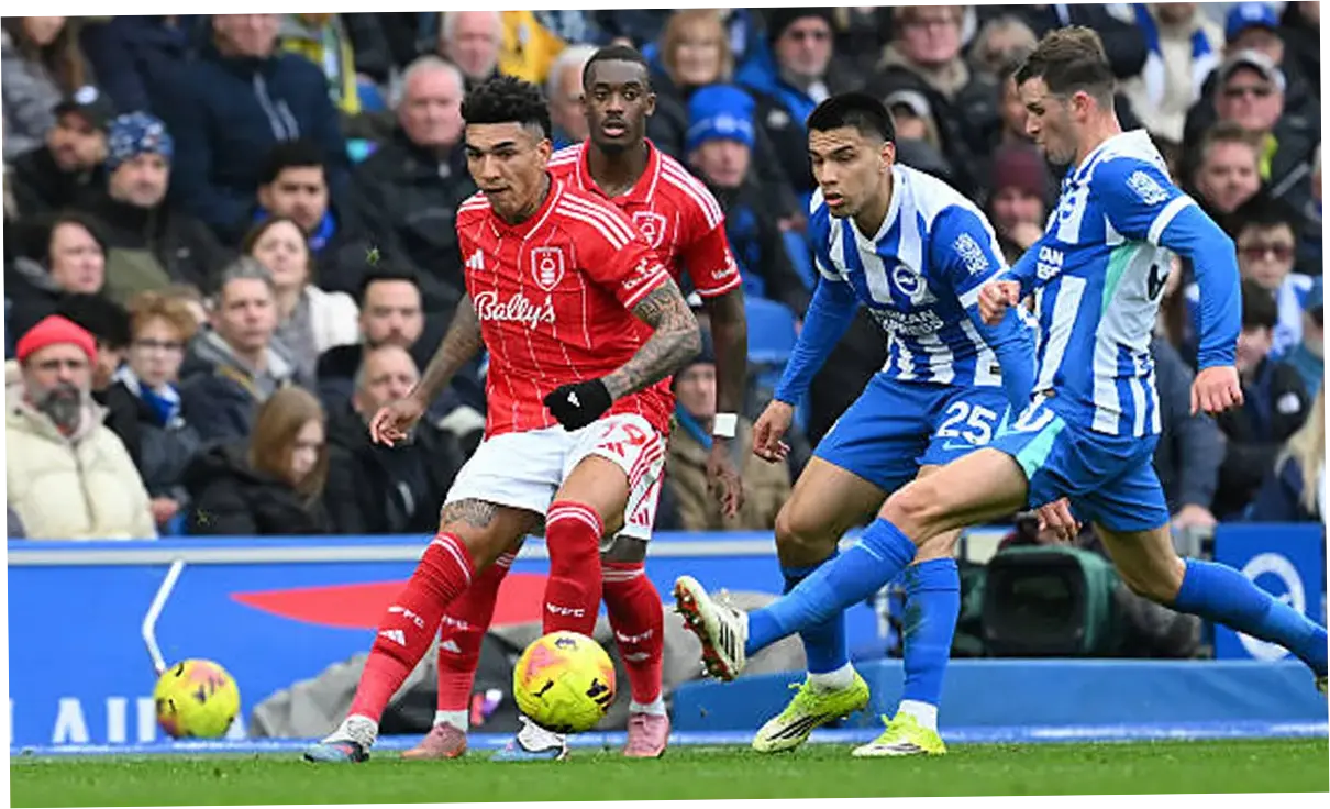 Pertandingan Premier League: Brighton vs Wolves, Pertarungan Sengit di Stadion Amex